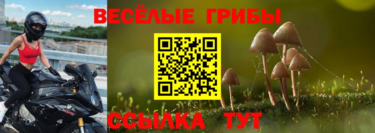 Фурманов  Галлюциногенные грибы Magic Shrooms  Вход с VPN 